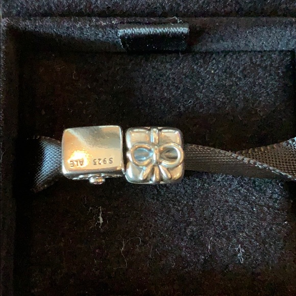 Two Pandora charms in original box NWT - Picture 4 of 4